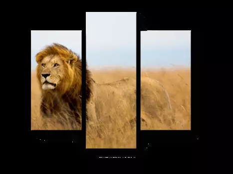 Модульная картина Picsis