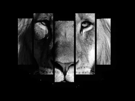 Модульная картина Picsis