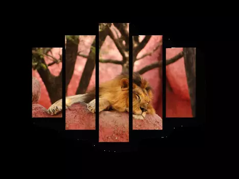 Модульная картина Picsis