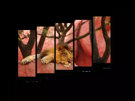 Модульная картина Picsis