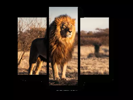 Модульная картина Picsis