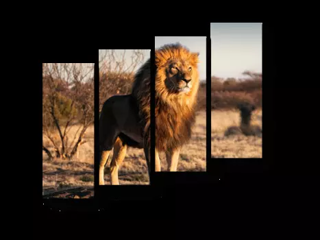 Модульная картина Picsis