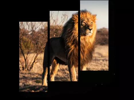 Модульная картина Picsis