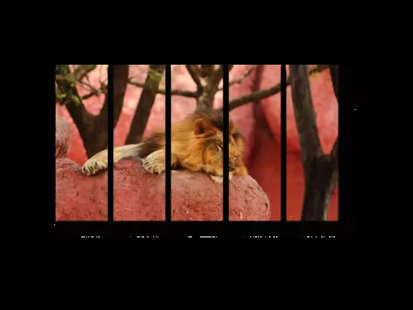 Модульная картина Picsis