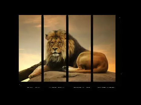 Модульная картина Picsis