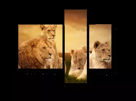 Модульная картина Picsis