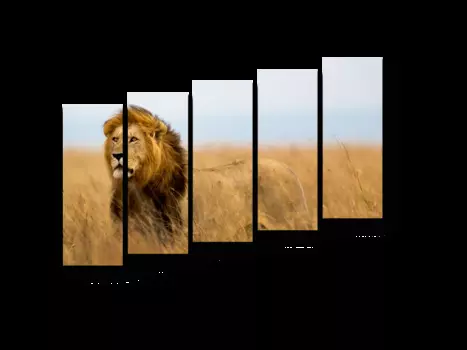 Модульная картина Picsis