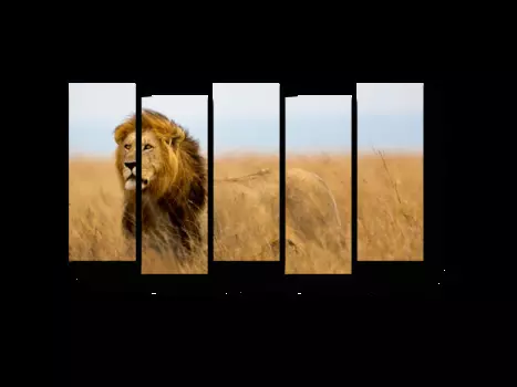 Модульная картина Picsis