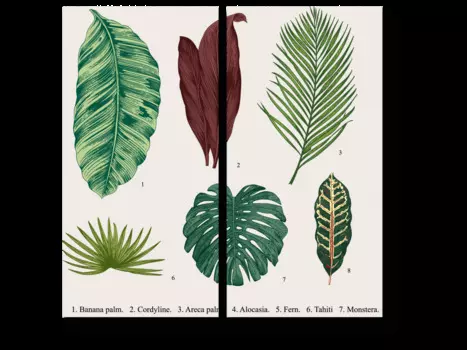 Модульная картина Picsis