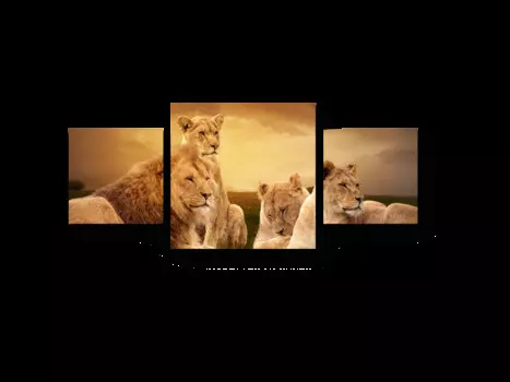 Модульная картина Picsis