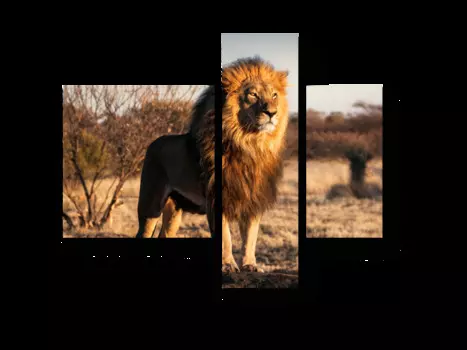 Модульная картина Picsis