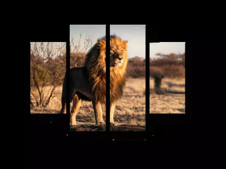 Модульная картина Picsis