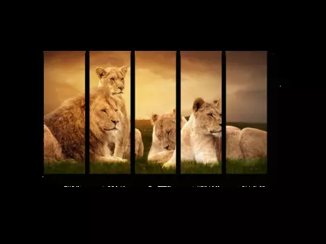 Модульная картина Picsis