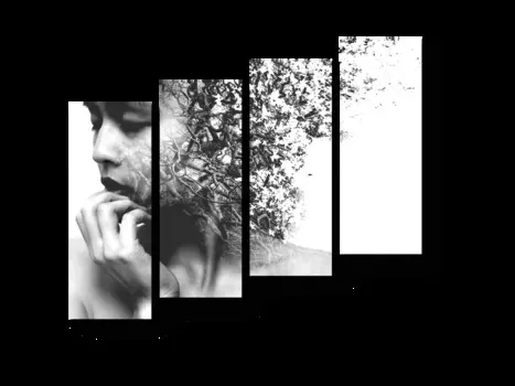 Модульная картина Picsis