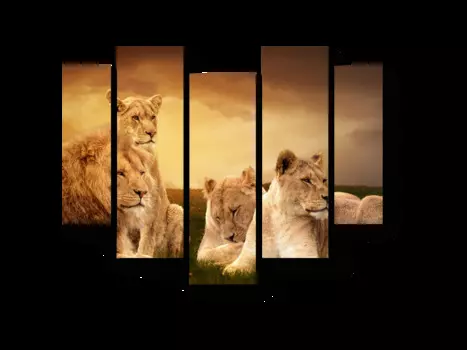 Модульная картина Picsis