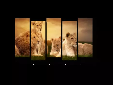 Модульная картина Picsis