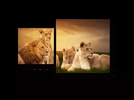 Модульная картина Picsis