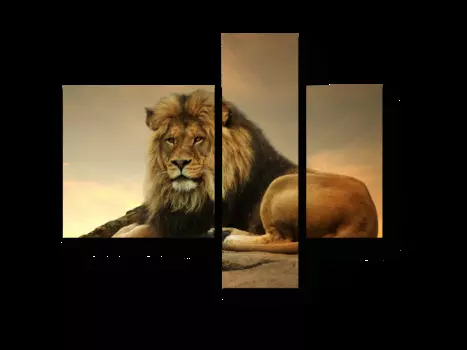 Модульная картина Picsis