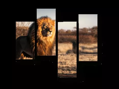 Модульная картина Picsis