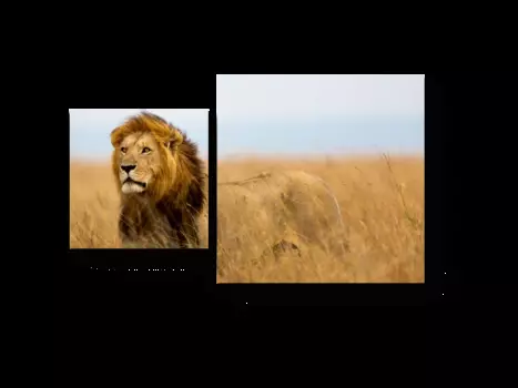 Модульная картина Picsis