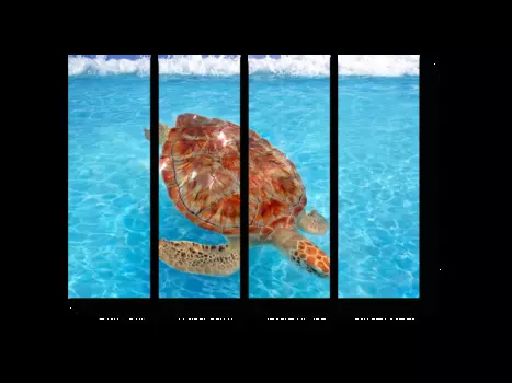 Модульная картина Picsis