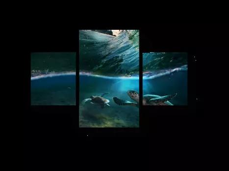 Модульная картина Picsis