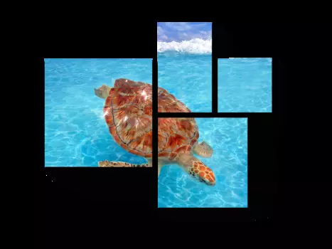 Модульная картина Picsis