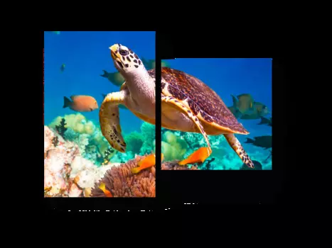 Модульная картина Picsis