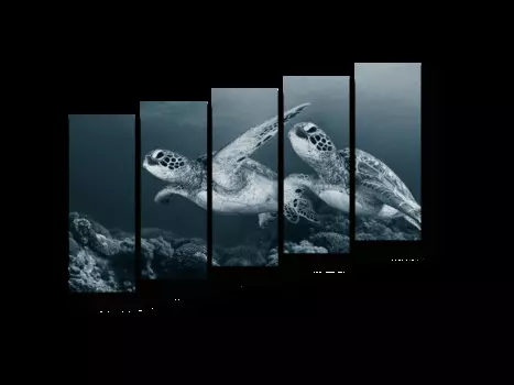 Модульная картина Picsis