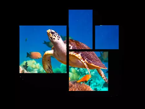 Модульная картина Picsis