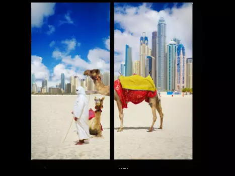 Модульная картина Picsis