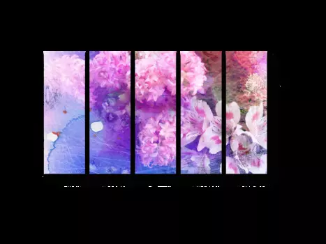 Модульная картина Picsis