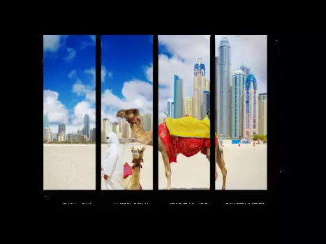 Модульная картина Picsis