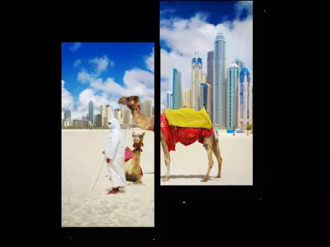 Модульная картина Picsis