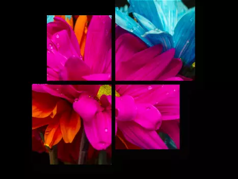 Модульная картина Picsis