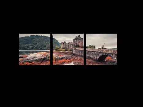 Модульная картина Picsis