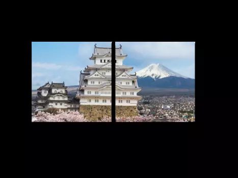 Модульная картина Picsis