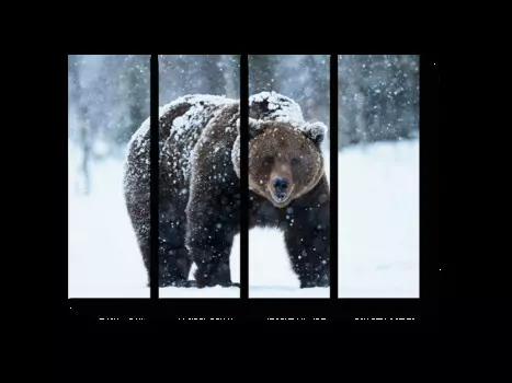 Модульная картина Picsis