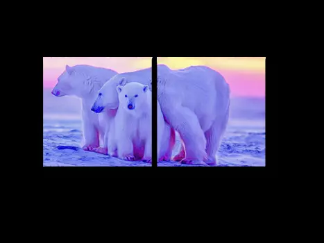 Модульная картина Picsis