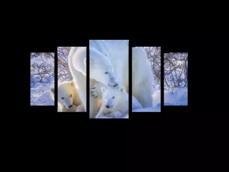 Модульная картина Picsis