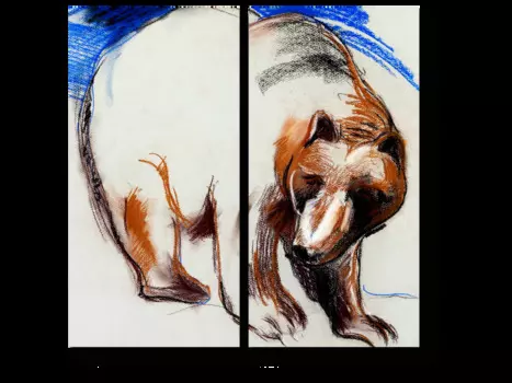 Модульная картина Picsis