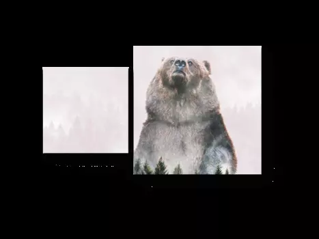 Модульная картина Picsis