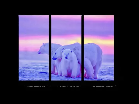 Модульная картина Picsis