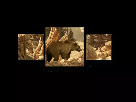 Модульная картина Picsis