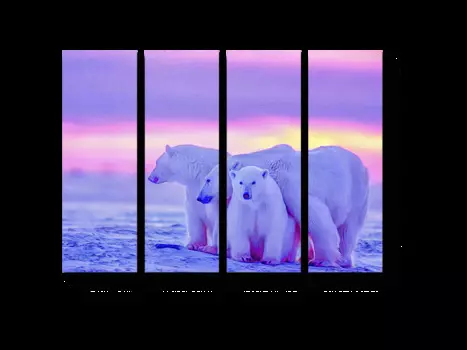 Модульная картина Picsis