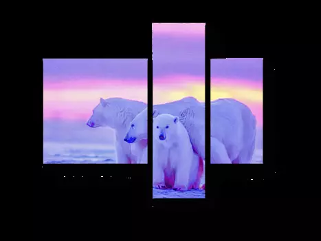 Модульная картина Picsis