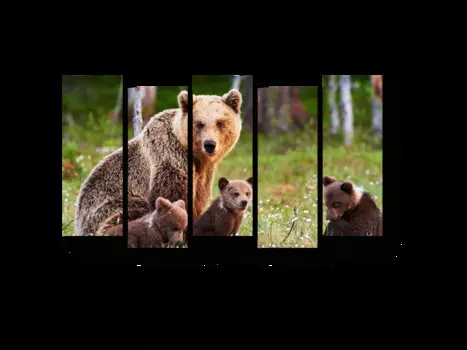 Модульная картина Picsis