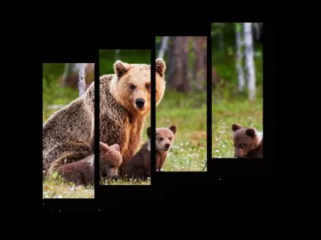 Модульная картина Picsis