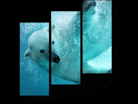 Модульная картина Picsis