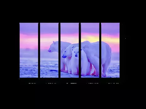 Модульная картина Picsis